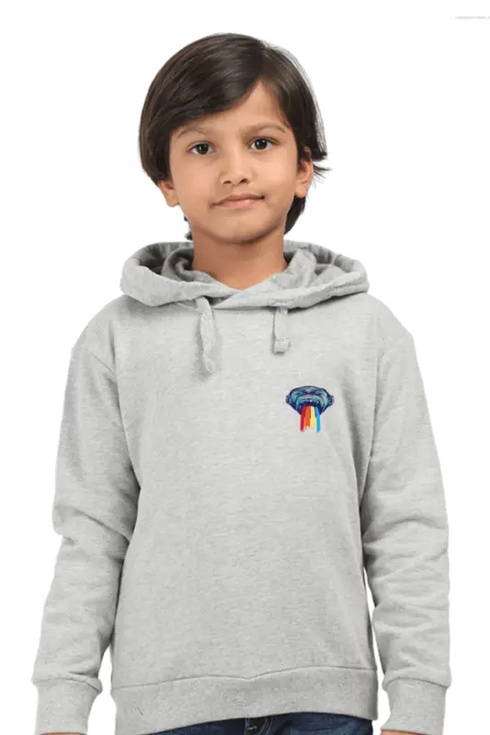 Boys Hooded SweatShirt Monk (Front/Back Design)