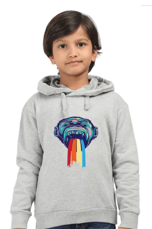 Boys Hooded SweatShirt Monk - Grey Melange / 36-47M